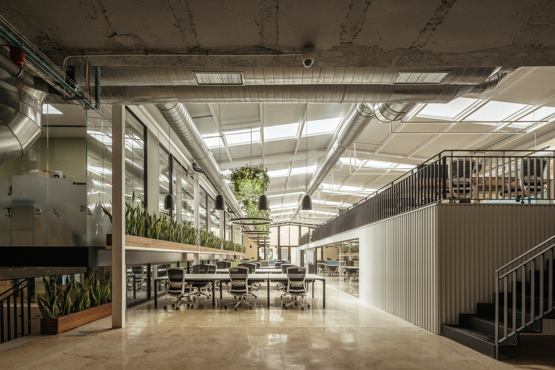 COWORKING "EL TRELLAT"